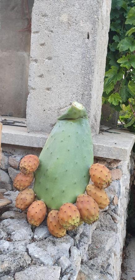 B&B Ancora Del Sud Otranto Kültér fotó
